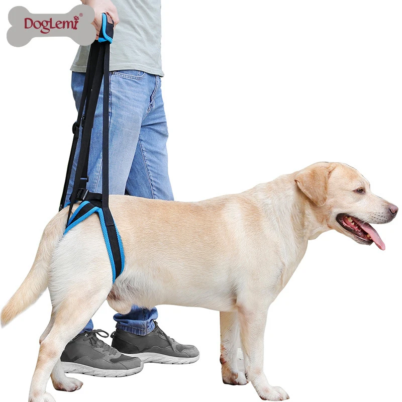 

Adjustable Dog Lift Harness for Back Legs Pet Support Sling Help Weak Legs Stand Up Pet Dogs Leash Aid Assist Tool