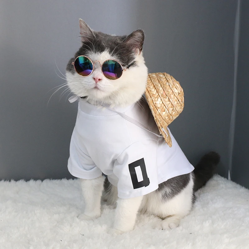 Глаз носить собака солнцезащитные очки маленькая кошка фото реквизит кота