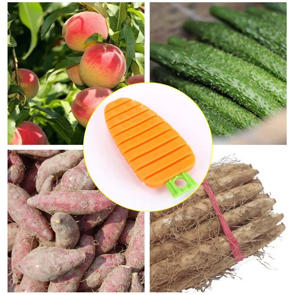 Пособия по кулинарии концепции Кухня фруктов и щетка для овощей мытья новые