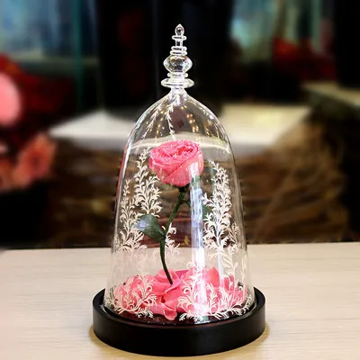 

Beauty and the Beast Rose Eternal Life Flower Finished Glass Cover Rose Led Light Fresh Preserved Rose Flower Mother's Day Gift