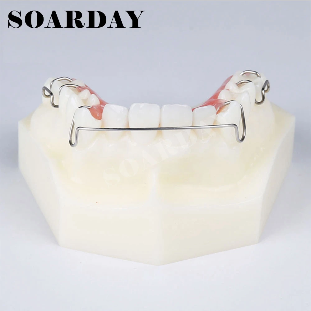 Зубной фиксатор демонстрационная модель ортодонтической терапии|orthodontic model|dental