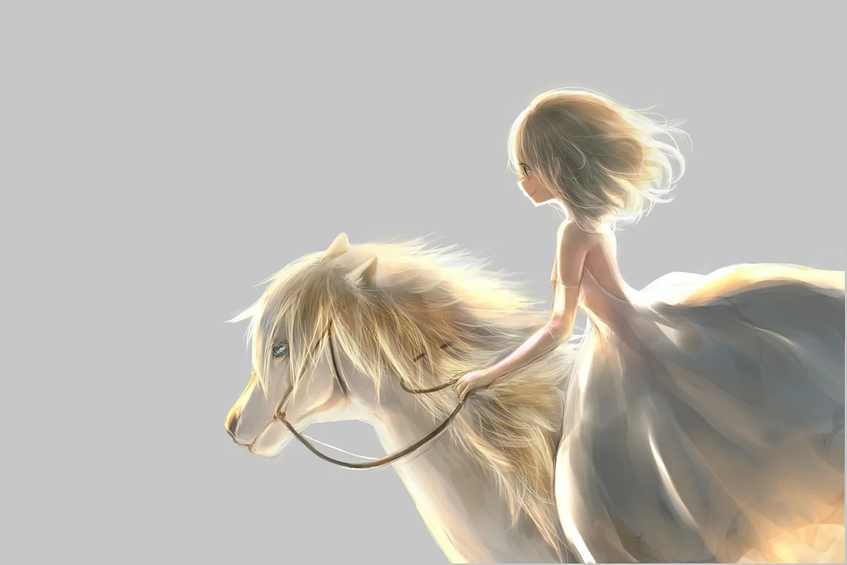 

custom print fabric poster anime girl rider fantasy mane pony PMD452 for wall decor room decor home decoration (frame available)