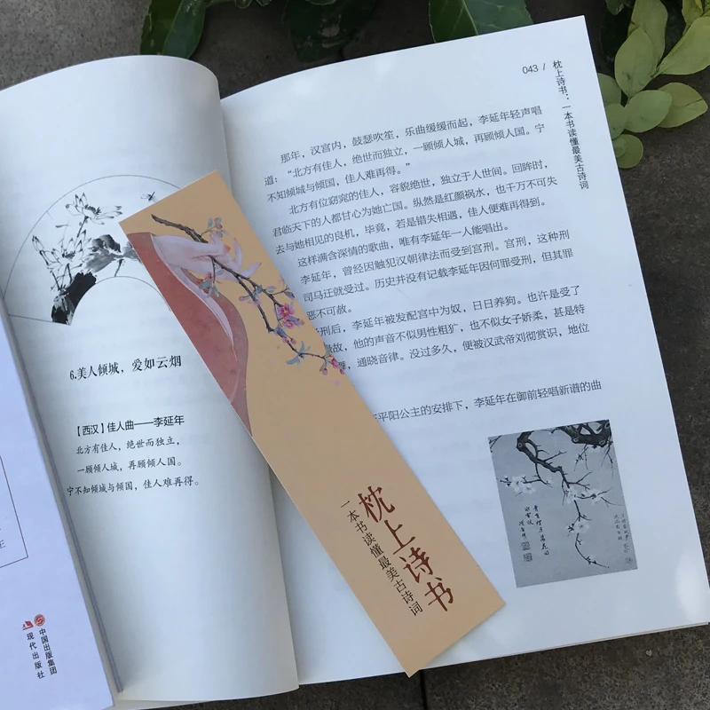 Новейшая книжка-подушка для поэмы оценки древней поэзии чтения рассказать