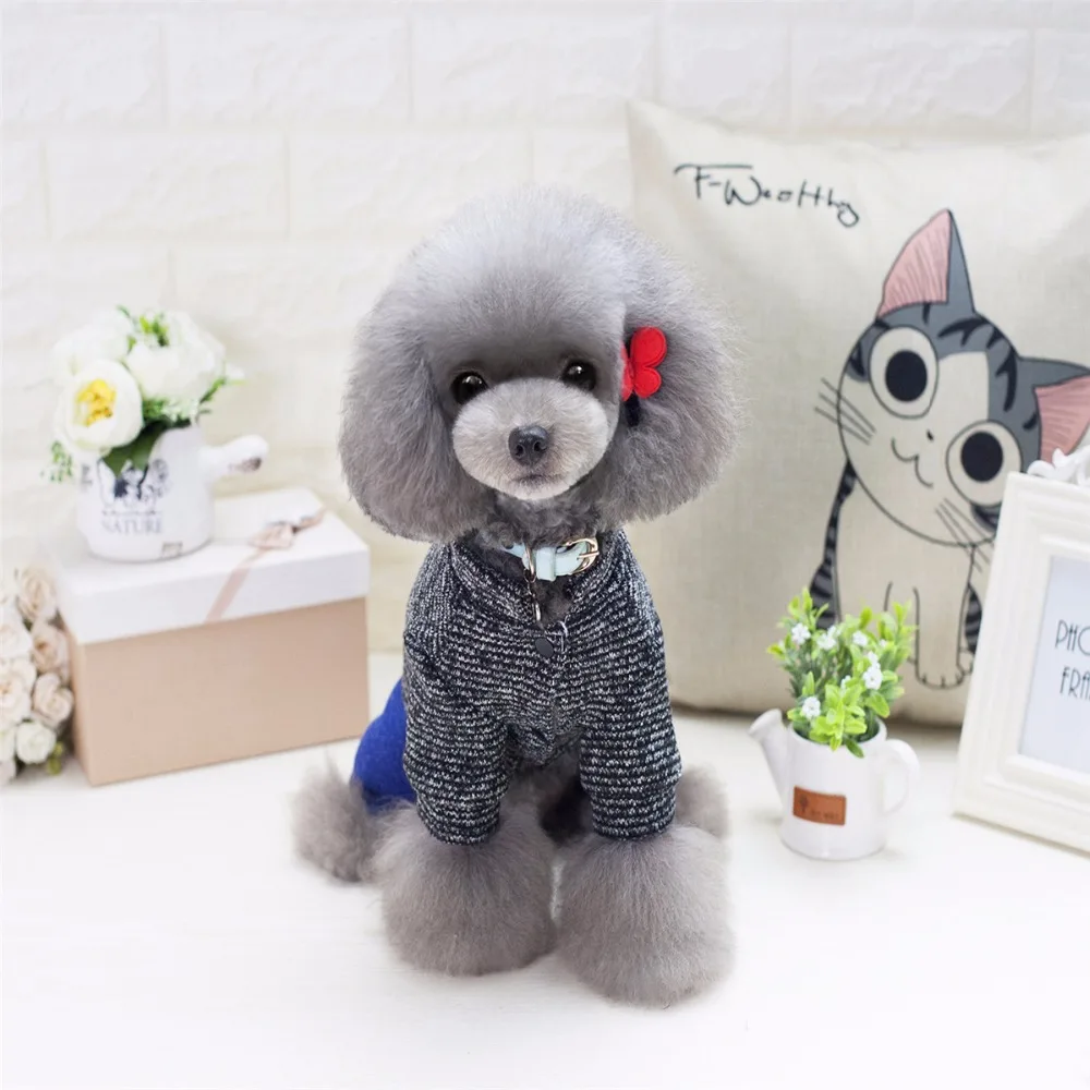 Новое поступление Симпатичная зимняя куртка для собаки с четырьмя ножками В