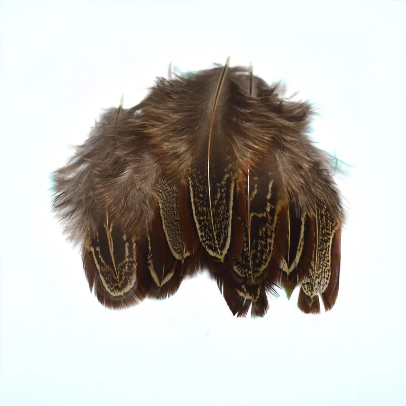 50 шт. натуральные перья фазана для изготовления ювелирных изделий вечерние украшения 5-8 см DIY Перья материалы Свадебная сценическая маска аксессуары