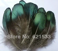 100pcslot 5 8cm lady amherst iridescent green plumage feathers crafts jewelry fly tyinglady amherst plumage feathers