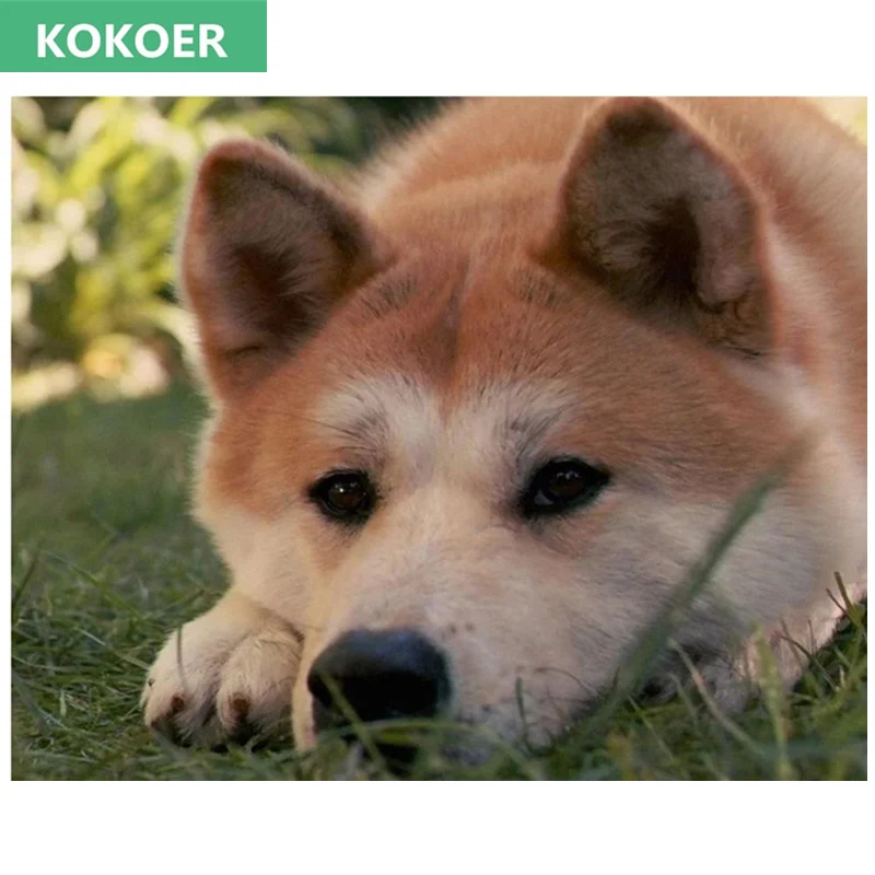 Алмазная 5D Вышивка сделай сам животное японская собака Akita алмазная живопись на