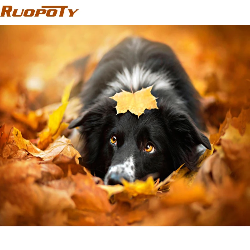 RUOPOTY diy рамка кленовые листья собака DIY живопись по номерам животные Каллиграфия