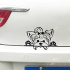Виниловая наклейка для украшения автомобиля, щенок породы йорки, наклейка о животных