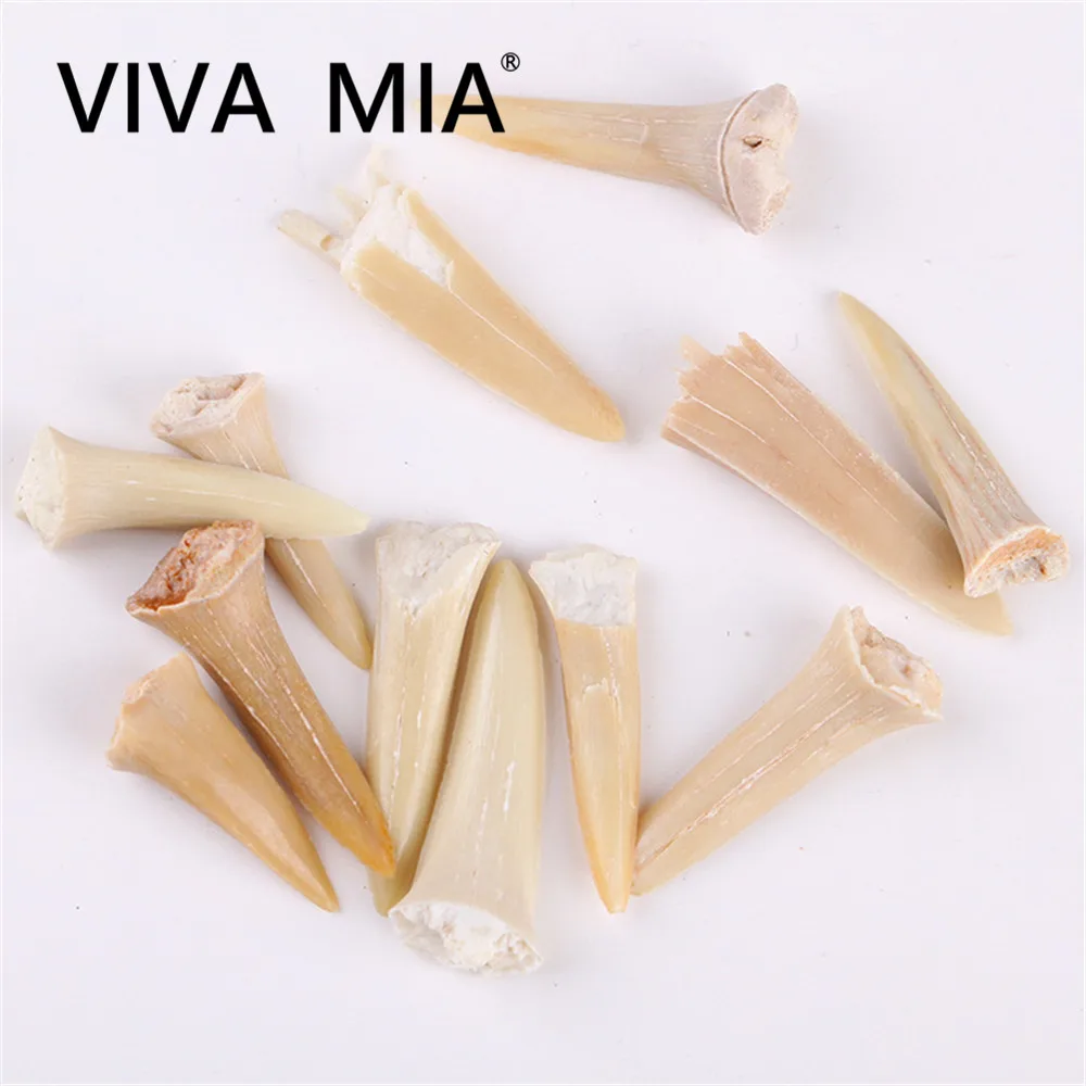 Ожерелья из натурального материала для мужчин и женщин окаменелости в виде Зубов