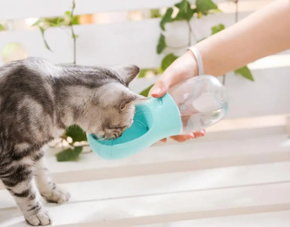 QQQPET портативная бутылка для воды собак путешествия щенков кошек миска питья