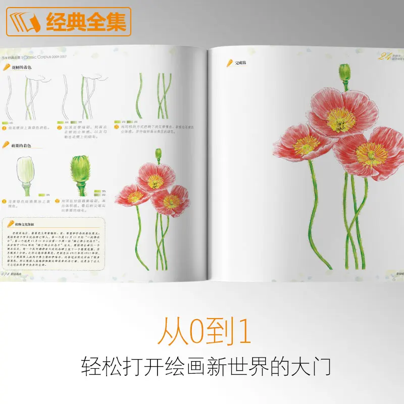 Цвет свинцовой краски вводный учебник книга нулевой основы для взрослых ручной ed