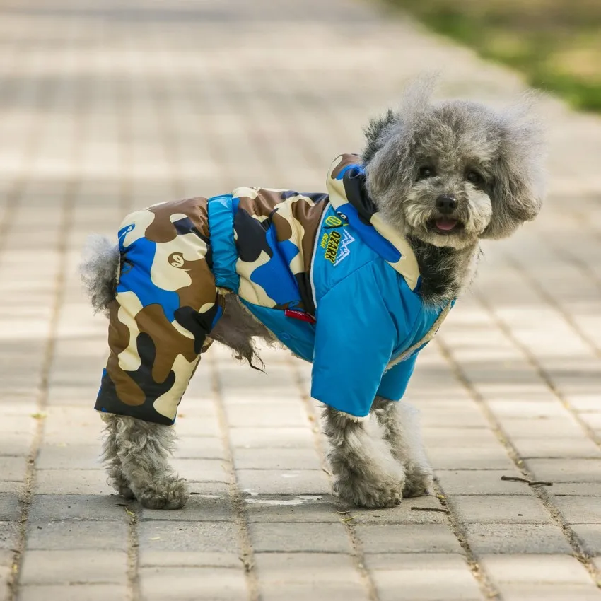 Новая одежда для домашних животных зимняя собак худи теплые толстые куртки