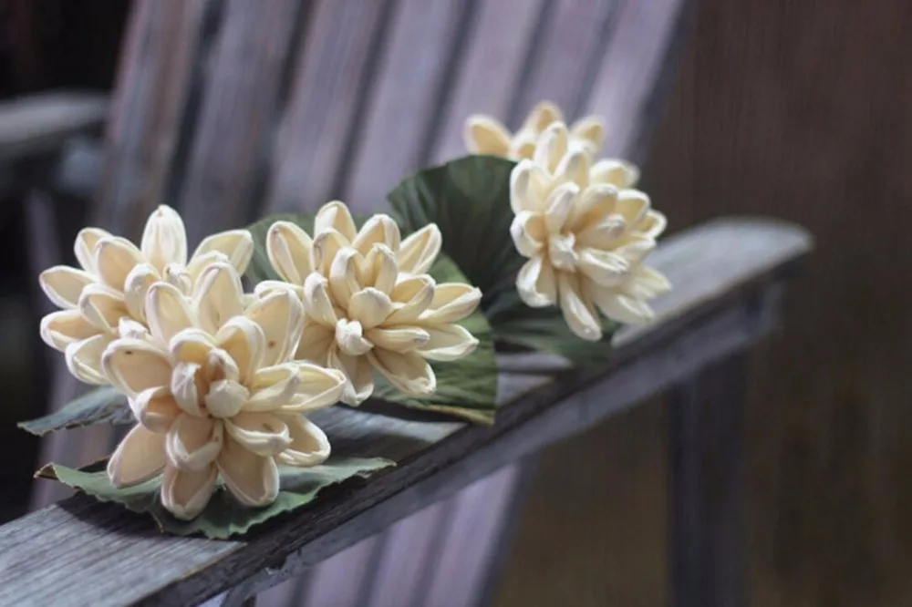 5 шт. белые сушеные цветы лилии для свадебной вечеринки украшения дома отеля