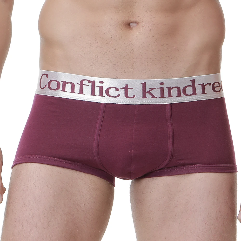 4PCS \ много высококачественная брендовая одежда хлопковые трусы-боксеры Для