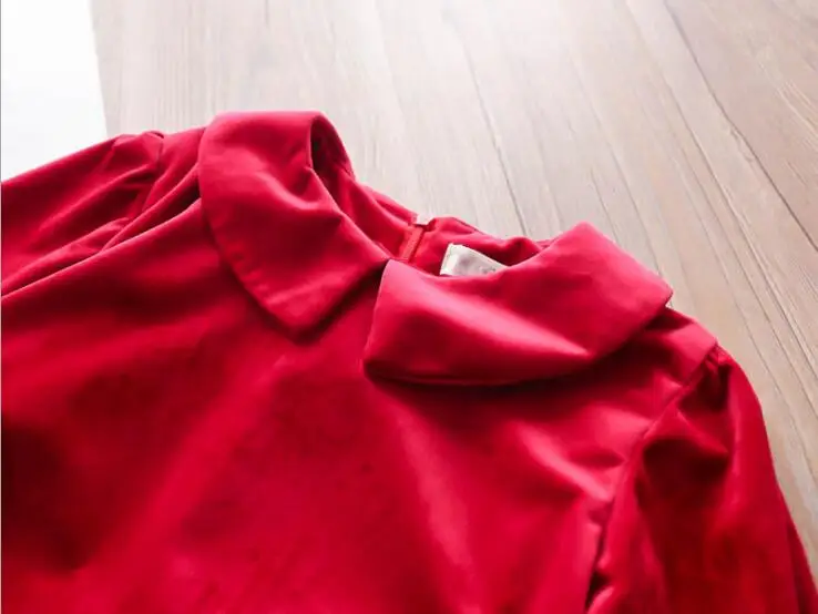 New Autumn Baby Kids Embroidery Velour Long Sleeve Dresses 2018 Girls Elegant Dress 5 pcs/lot Wholesale Free Shipping | Детская одежда