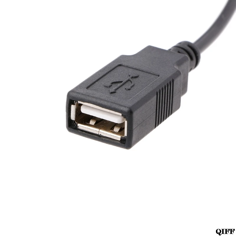 Прямая поставка и оптовая продажа 30 см внутренний 5 в 2 Pin IDE Molex к USB 0 Тип A женский