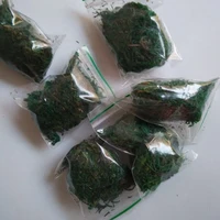 20bags lot glass vials findings stuffing filler natural dried moss diy material glass cover fill moss dfm001
