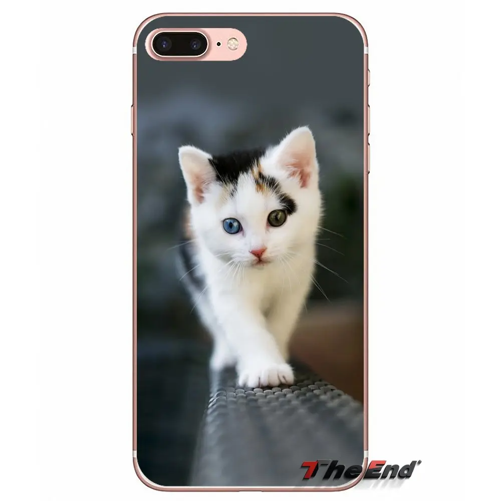 Забавные аксессуары для кошек чехлы телефонов Чехлы iPhone X 4 4S 5 5S 5C SE 6 6S 7 8 Plus Samsung