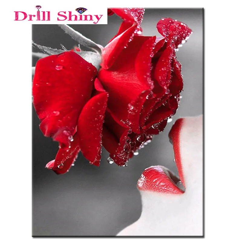 5D Diy Алмазная вышивка цветы живопись головоломка картинки сексуальные губы и