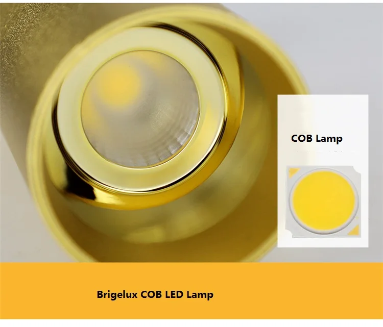200-240Vac Золотой корпус 5 Вт 7 Вт 10 Вт 12 Вт Brigelux led 2700 к 3000 К 4000 к 6000 К фоновая настенная живопись Светодиодный точечный потолочный светильник
