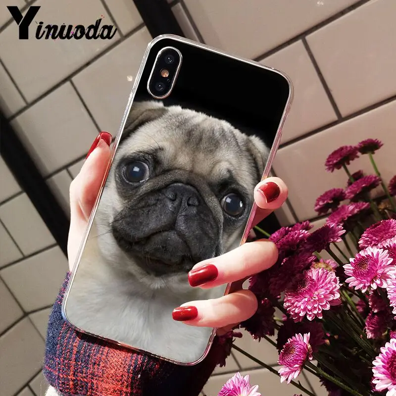 11pro MAX милый мопса на заказ фото мягкий чехол для телефона Apple iPhone 8 7 6 6S Plus X XS 5 5S SE XR |