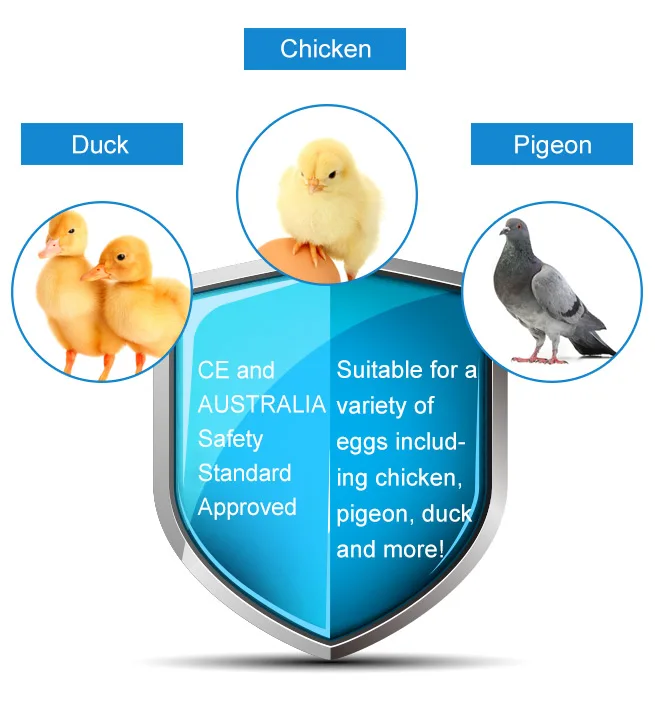2017 Мини Домашнего Использования Курица/Утка/Гусь/Птица яйцо-инкубатор | Бытовая