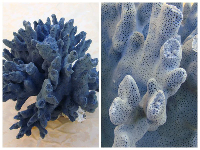Aqumotic натуральный синий коралл Декор 1 шт. украшение для аквариума Naturalizer коралловый риф Солнечный свет аквариум для рыб Аксессуары Инструмент