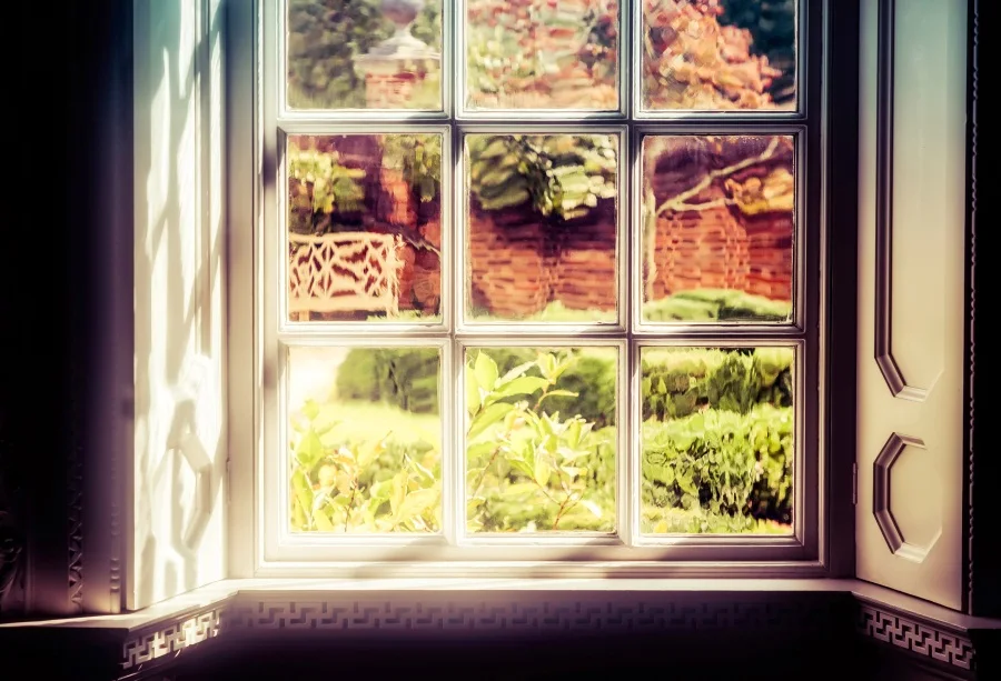 Laeacco оконных стекол дворе завода подкладке фоновые Индивидуальные фотографии