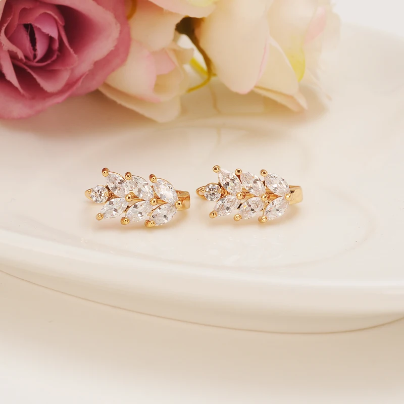 

gold rhinestone Luxury Austrian Zircon hoop Earrings white stone Elegant Gold Earrings for Women girls crystal earring gift