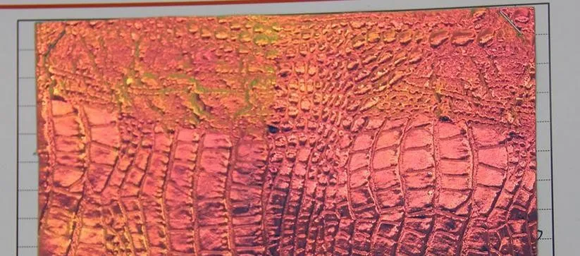 Голографическая ткань лазерная симфония искусственной кожи крокодиловой Искусственная кожа дорожная сумка мешок украшения кожа хамелеон Материал