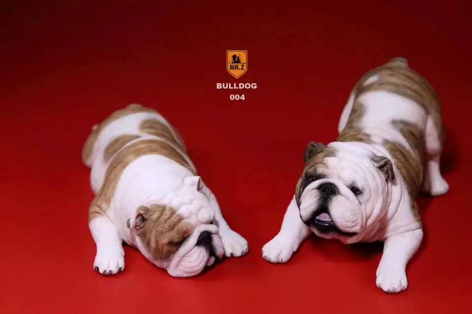 Mnotht 1Pair 1/6 British Bulldog Sculpt Model Naughty &amp Cute Dog Carving For 12in Action Figure Scene l20 | Игрушки и хобби