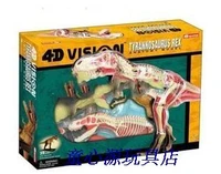 4d master puzzle assembling tyrannosaurus anatomical model 13 5cm7cm13cm free shipping