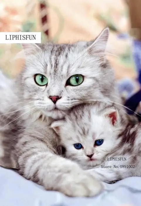 

Free Shipping NEW DIY 5d Diamond Painting Warm Sweet Mother Cat Hand Embroidery Cross Stitch Square Diamond Plastic Canvas