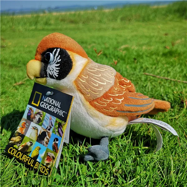 Spot breasted parrot Плюшевый 5," Птичий Таннен мейз Холл бенмейз Блю синица бэйт бэйк пчел Пожиратель и точечный брезент парротбилл игрушки - Цвет: Spot breasted parrot
