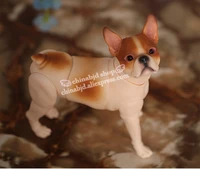 16 doll bjd dog pet sd joint doll oueneifs educational toys luodoll
