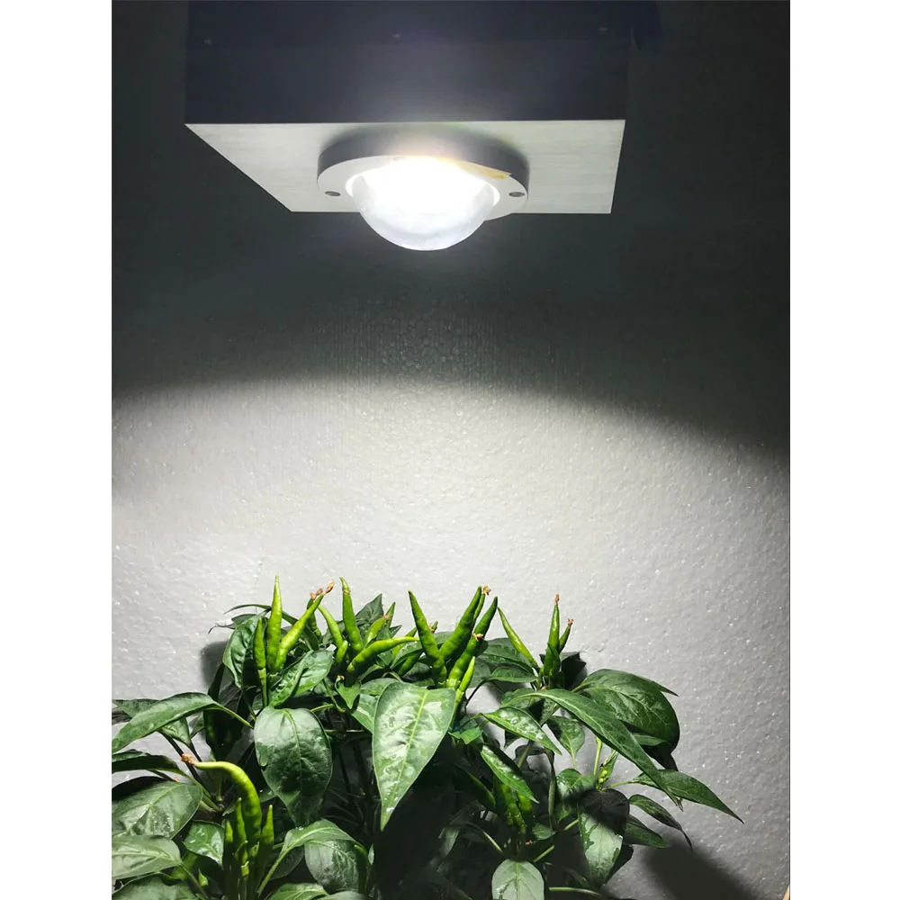 AYNHUI 2019 Spider Eshine System полный спектр Crees Cxb3590 гидропоники Cob Led Grow Light|Промышленные