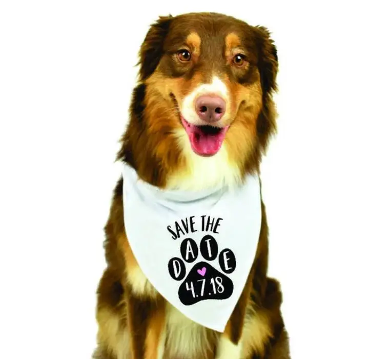 Customize wedding Save The Date Dog Bandana, Save The Date Engagement Photo Props, Save The Date Sign, Dog Engagement Photo