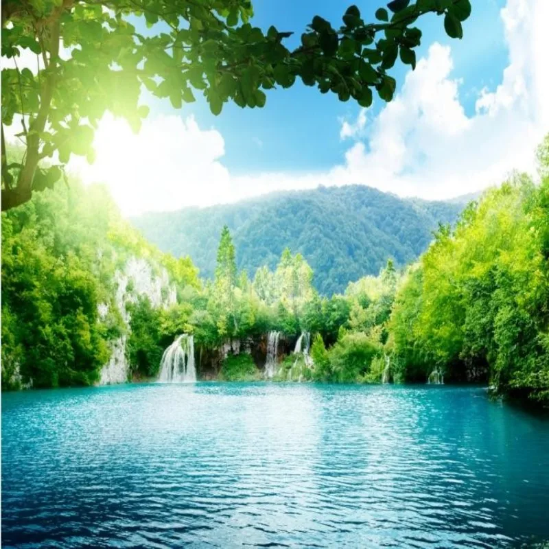 

Dropshipping Colomac Modern Wallpaper Natural Scenery Custom Photo Wallpapers Jungle Wallpaper Living Room Papel De Parede 3d