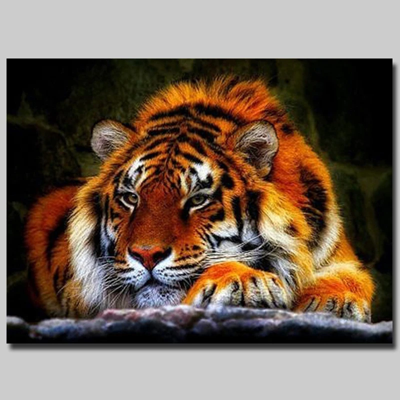 5D САМОСТОЯТЕЛЬНАЯ РАБОТА ПО РАЗУМУ ТИГРА ПОЛНЫЙ КВАДРАТ / КРУГЛОЕ СВЕРЛО ОТВЕРСТИЕ ВЫШИВКА ЖИВОТНЫХ МОЗАИКА ДЕКОР ДОМА ПОДАРКИ НА.