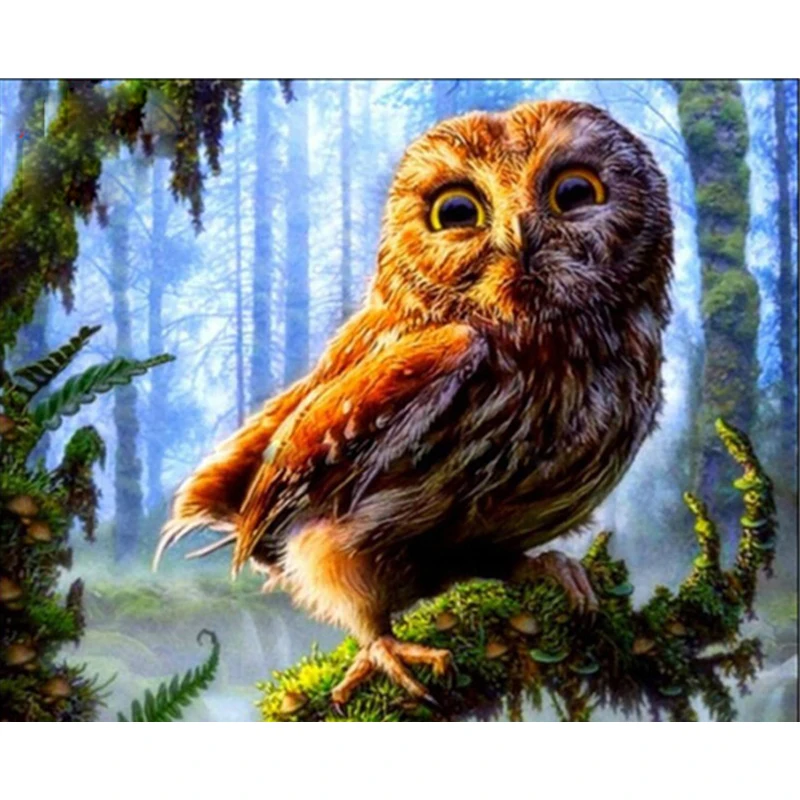 Owl.40x50cm DIY Coloring Paint By number Tools picture Beautiful Painting Numbers Surprise Gift art supplies dropship | Дом и сад