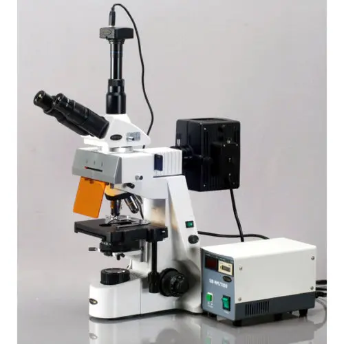 AmScope 40x-2500x Plan Infinity Extreme Widefield EPI-Fluorescent Microscope | Инструменты