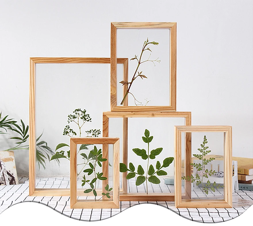 SUFEILE DIY креативный образец фоторамки домашний декор фото стена HD двухсторонняя Стеклянная фоторамка образец растения рамка D50