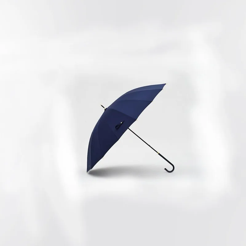 

16 Bone Large Simple Umbrella Long Handle Small Fresh Automatic Double Layer Windproof Gentleman Umbrellas 5 Colors