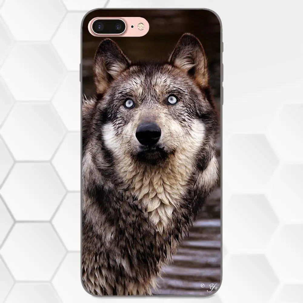 Чехол Wolf Blue Eyes для Apple iPhone 4 4S 5 5S SE 6 6S 7 8 Plus X XS Max XR мягкий чехол из ТПУ с