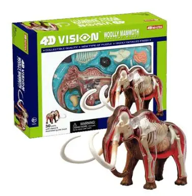 4D Master simulation mammoth anatomical assembly model can be disassembled