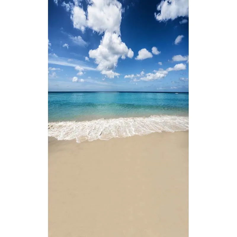 

Thin Vinyl seaside beach backdrop for photo studio outdoor background backdrops F-2636