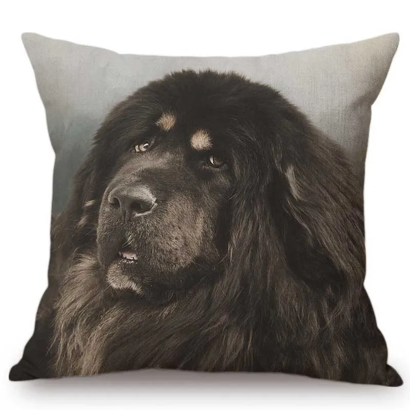 Милые щенки портрет собаки Пудель немецкий Шепард Домашние животные