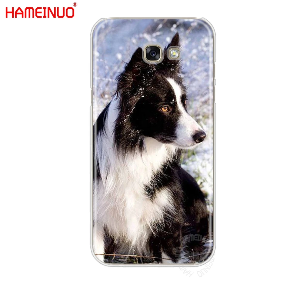 HAMEINUO border collie dog чехол для сотового телефона Samsung Galaxy A3 A310 A5 A510 A7 A8 A9 2016 2017|Бамперы| |