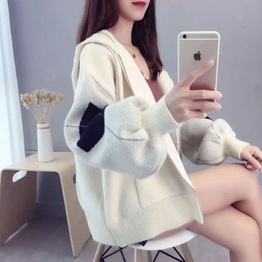 Short Thick Knit Cardigan 2019 New Loose Hooded Zipper Sweater Coat Female |